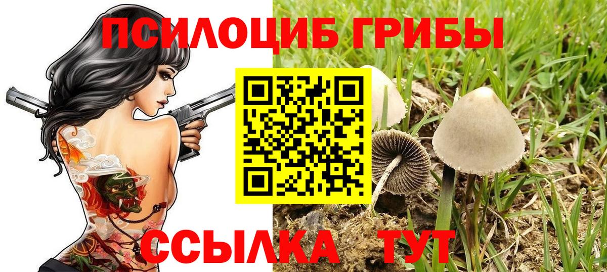 Галлюциногенные грибы ЛСД  Вход с VPN  Россия 