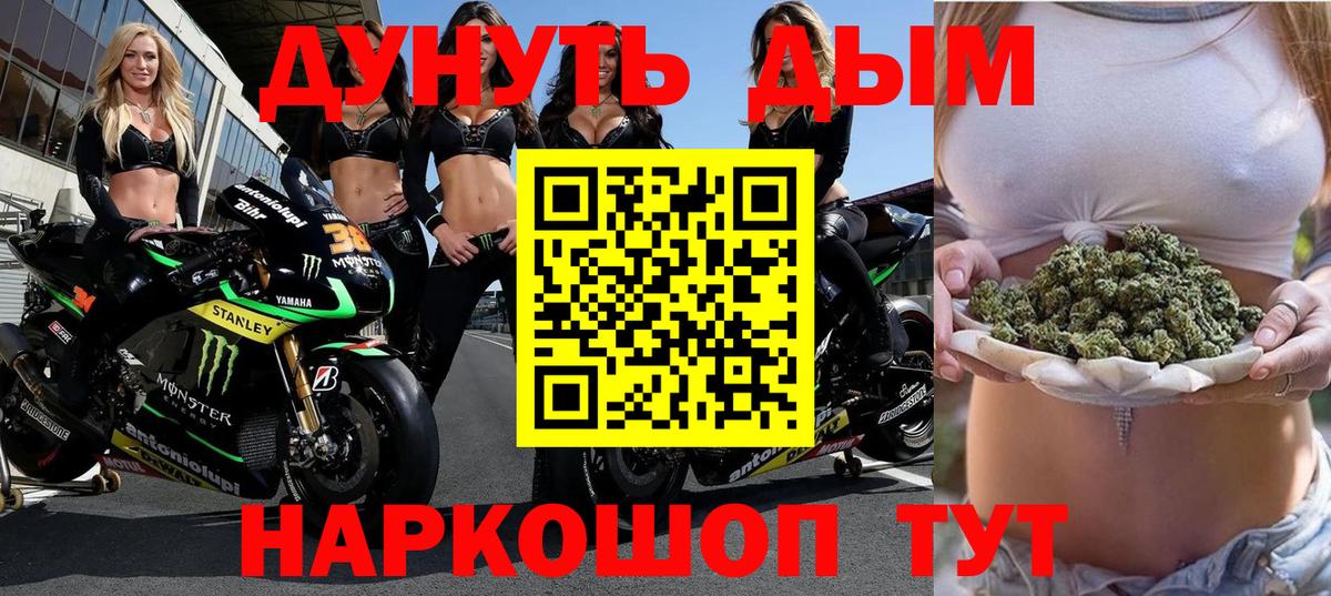 Каннабис SATIVA & INDICA  Вход с VPN  Россия  Каннабис SATIVA & INDICA 